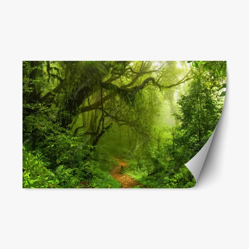 Repositionable sticker mystical green forest trail