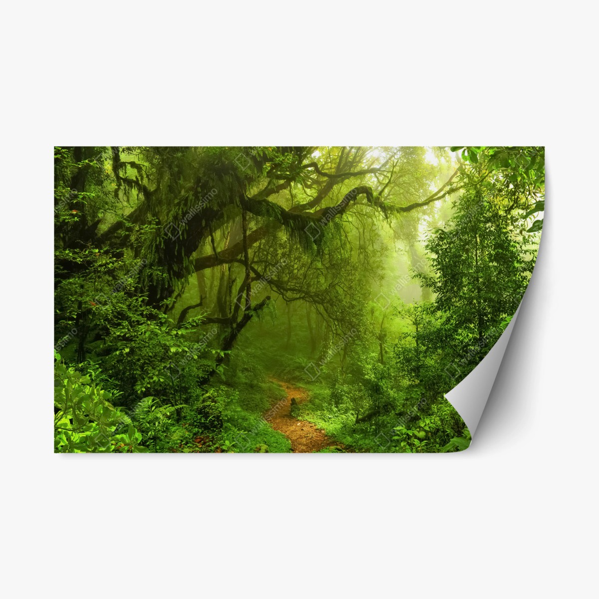 Repositionable sticker mystical green forest trail ⁕ Wallissimo® Repositionable sticker mystical green forest trail ⁕ Wallissimo®