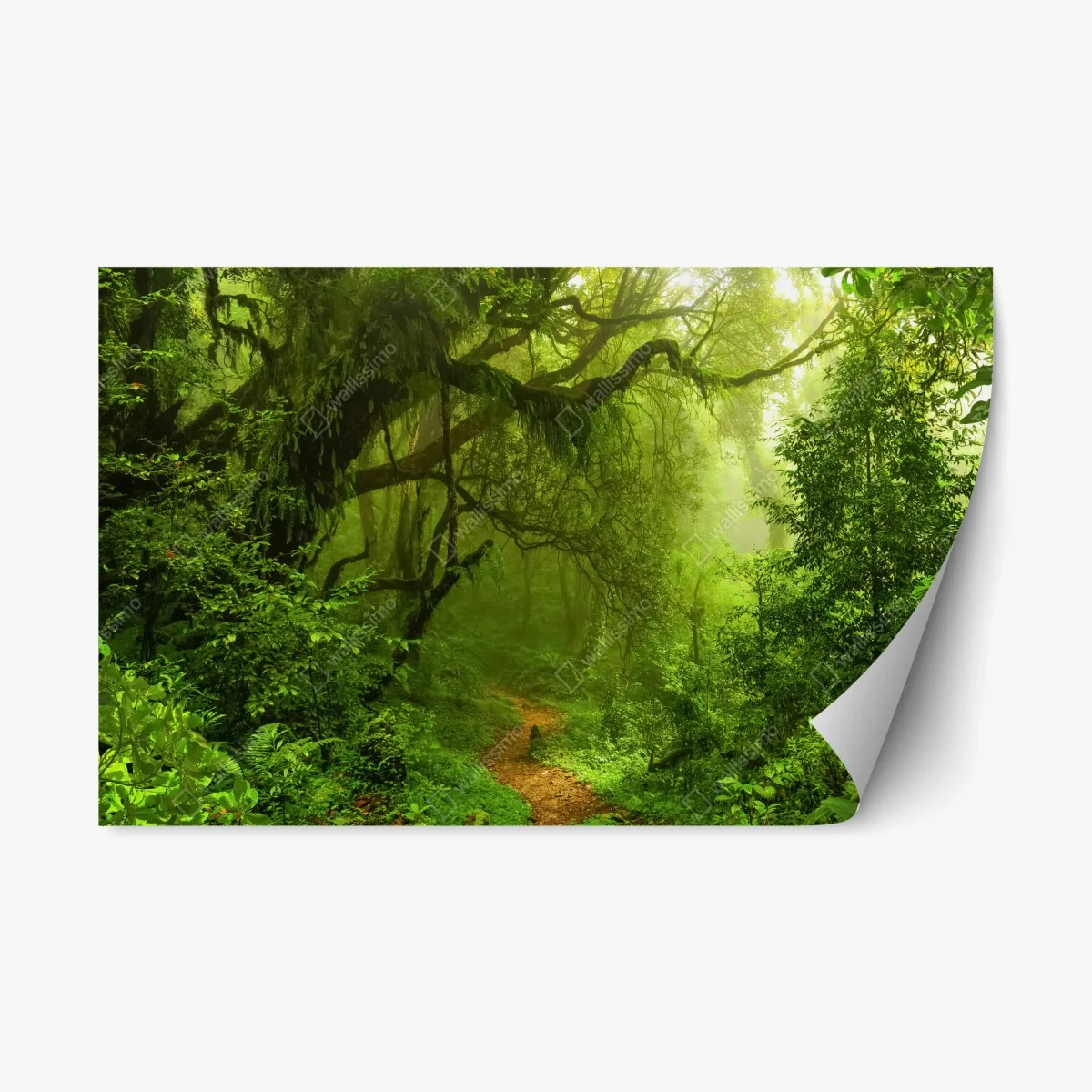 Repositionable sticker mystical green forest trail • Wallissimo® Repositionable sticker mystical green forest trail • Wallissimo®