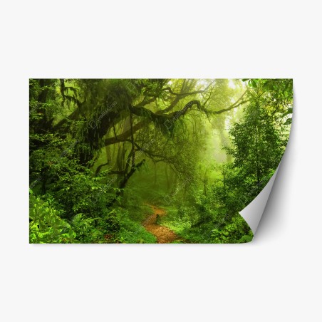 Repositionable sticker mystical green forest trail • Wallissimo®
