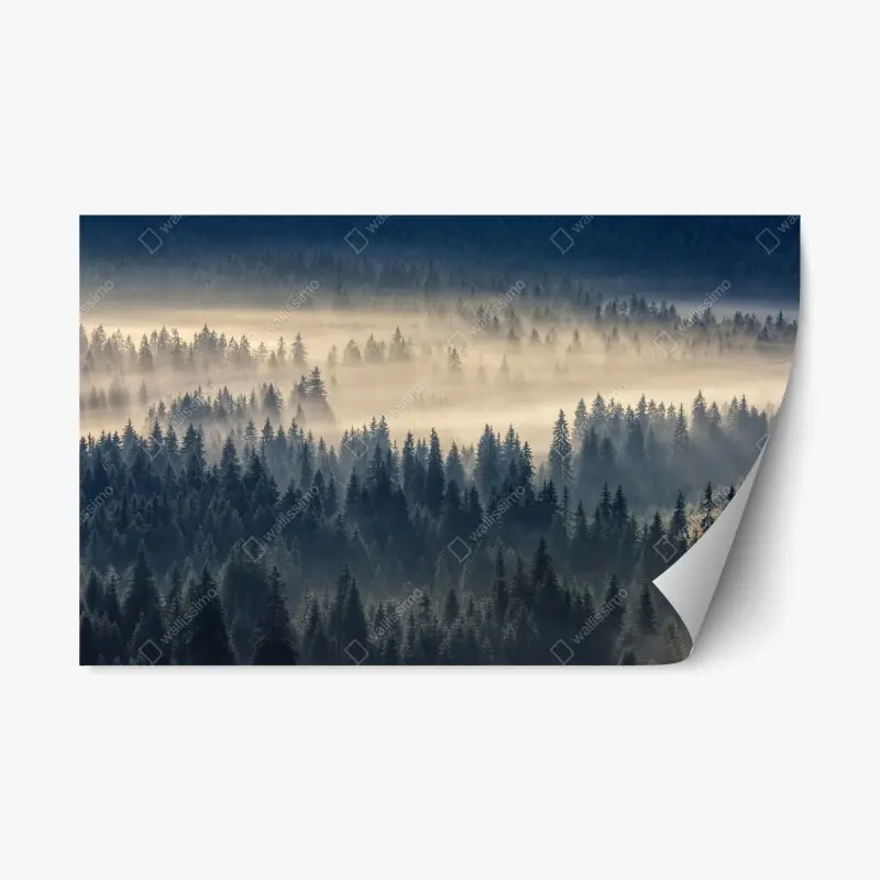 Repositionable sticker misty spruce valley at dawn