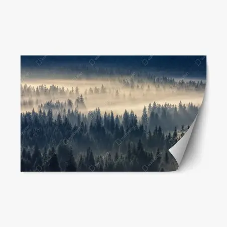 Repositionable sticker misty spruce valley at dawn • Wallissimo®