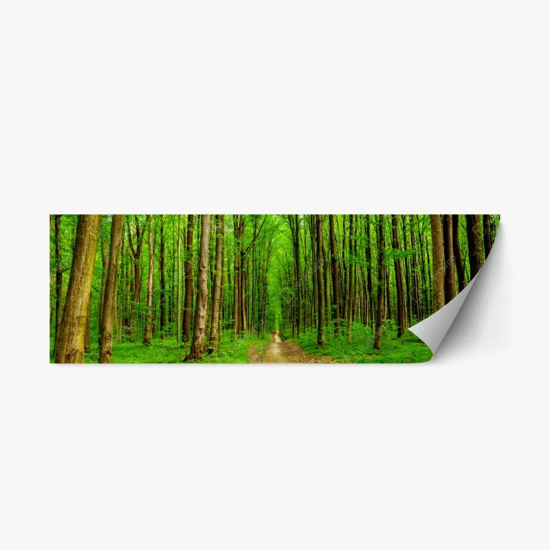 Repositionable sticker misty mountain boat at dawn • Wallissimo®