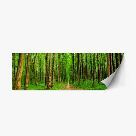 Repositionable sticker green forest pathway in spring • Wallissimo®