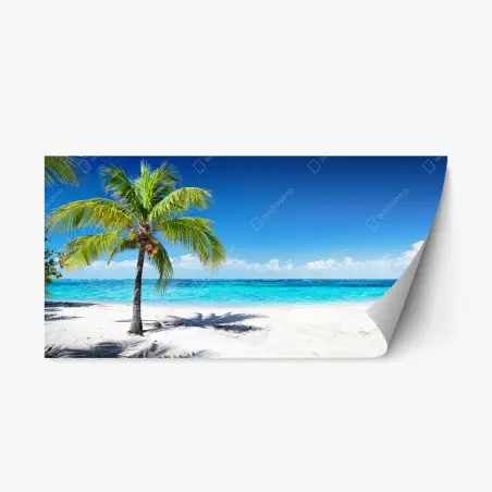 Repositionable sticker tropical palm on a turquoise beach • Wallissimo®