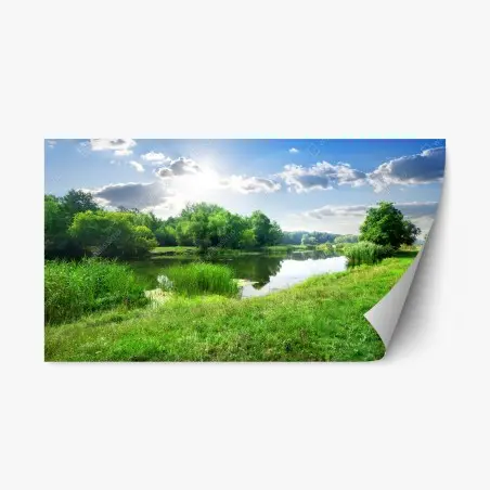 Repositionable sticker sunlit riverside meadow • Wallissimo®