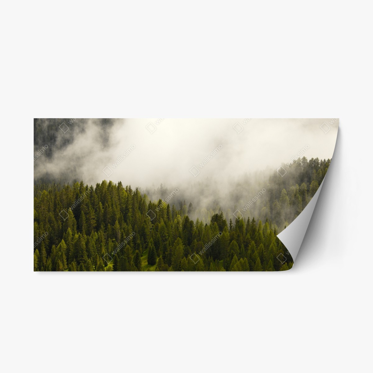 Repositionable sticker misty evergreen forest • Wallissimo® Repositionable sticker misty evergreen forest • Wallissimo®