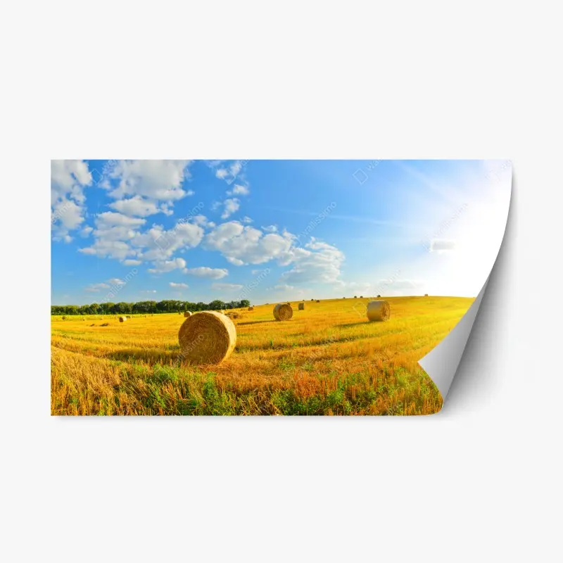 Repositionable sticker misty mountain boat at dawn • Wallissimo®
