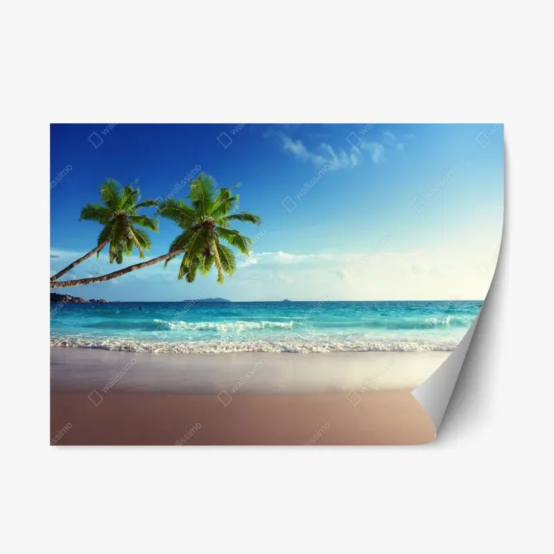 Repositionable sticker tropical Caribbean beach at sunset