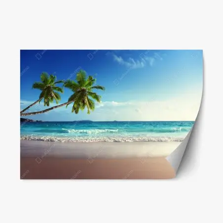 Repositionable sticker tropical Caribbean beach at sunset • Wallissimo®