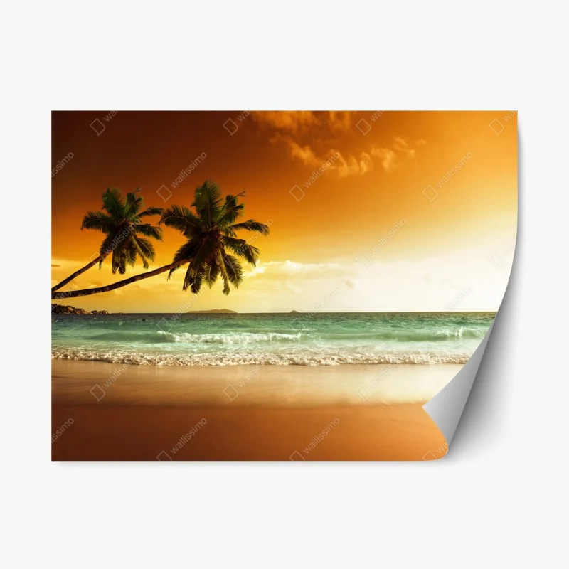 Repositionable sticker tropical palm in Punta Cana • Wallissimo®