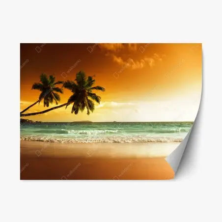 Repositionable sticker Caribbean sunset beach with palm trees • Wallissimo®