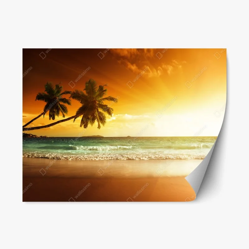 Repositionable sticker tropical sunset over Caribbean beach