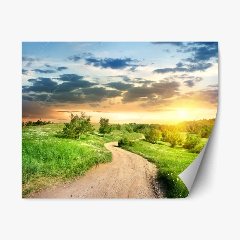 Repositionable sticker sunset country road through green meadow