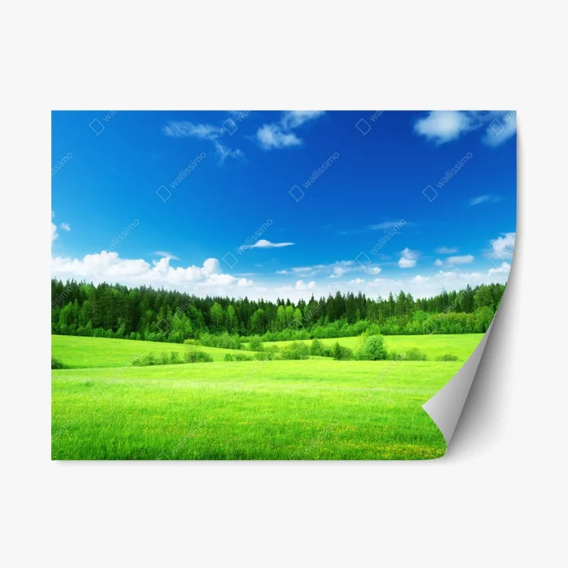 Repositionable sticker spring meadow under a blue sky