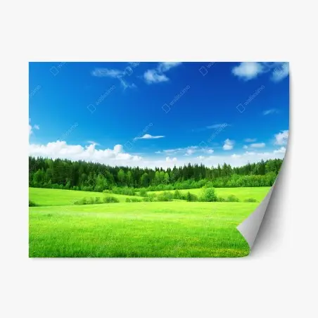 Repositionable sticker spring meadow under a blue sky • Wallissimo®