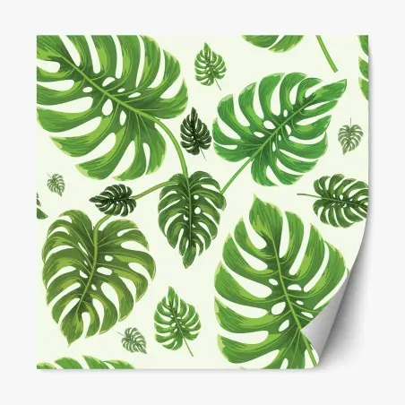 Repositionable sticker tropical monstera leaf pattern • Wallissimo®