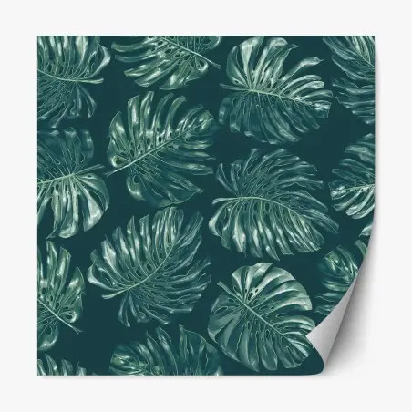Repositionable sticker tropical monstera leaf pattern • Wallissimo®