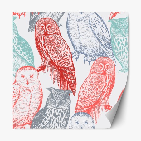 Repositionable sticker whimsical colorful owl pattern • Wallissimo®