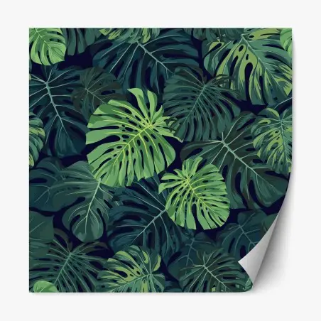 Repositionable sticker tropical monstera leaves pattern • Wallissimo®