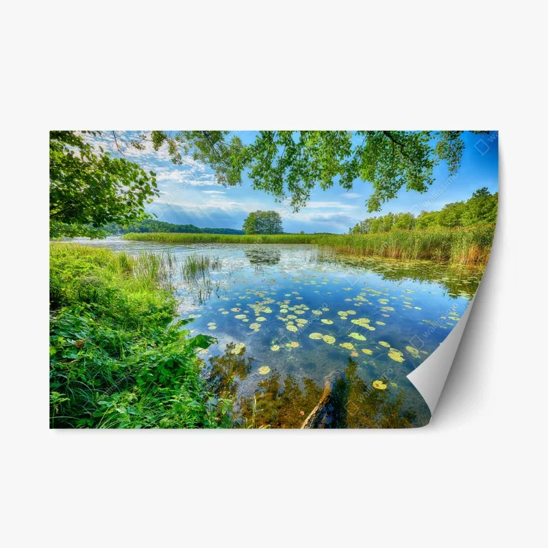 Repositionable sticker summer reflections at Masuria lake