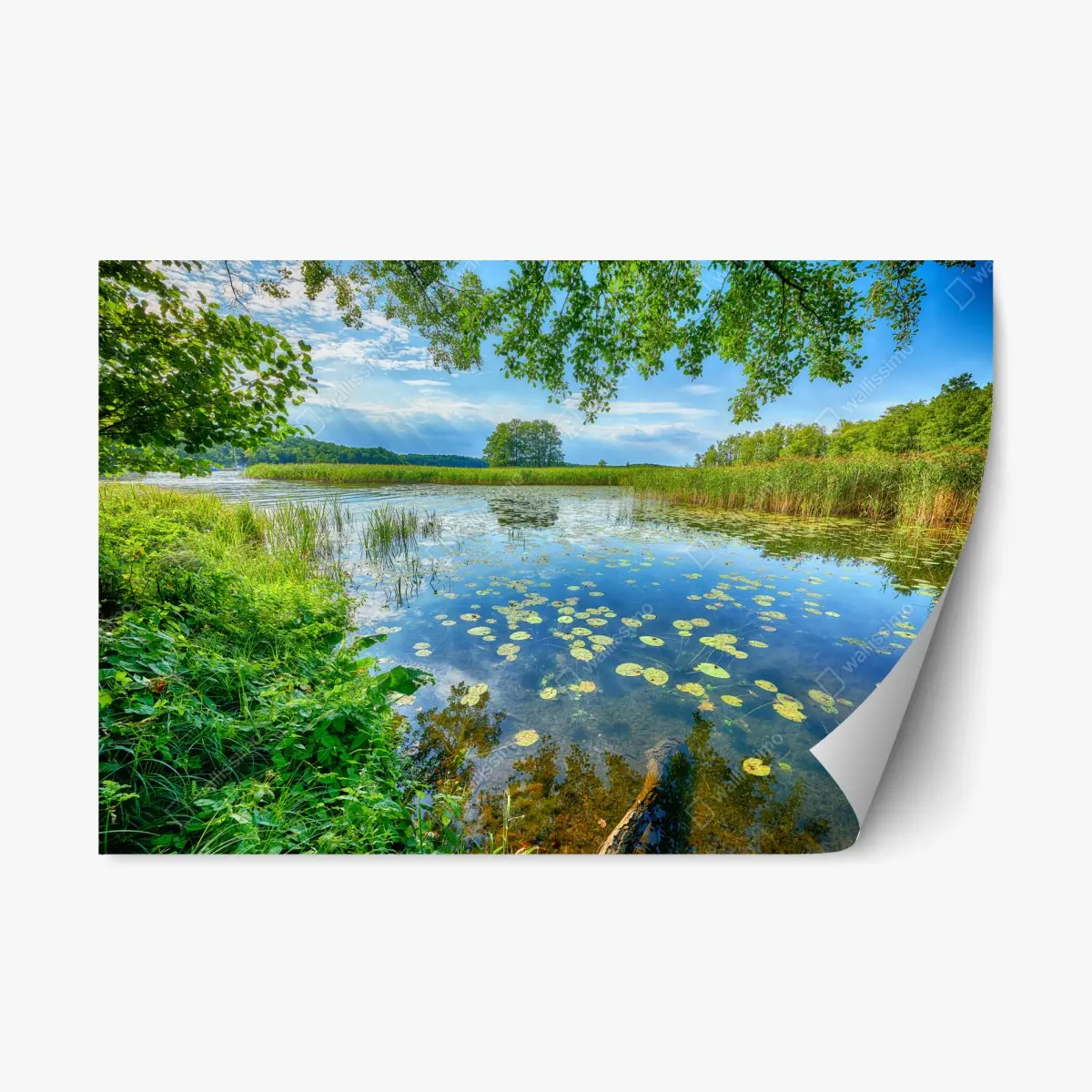 Repositionable sticker summer reflections at Masuria lake • Wallissimo® Repositionable sticker summer reflections at Masuria lake • Wallissimo®