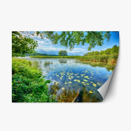 Repositionable sticker summer reflections at Masuria lake • Wallissimo®