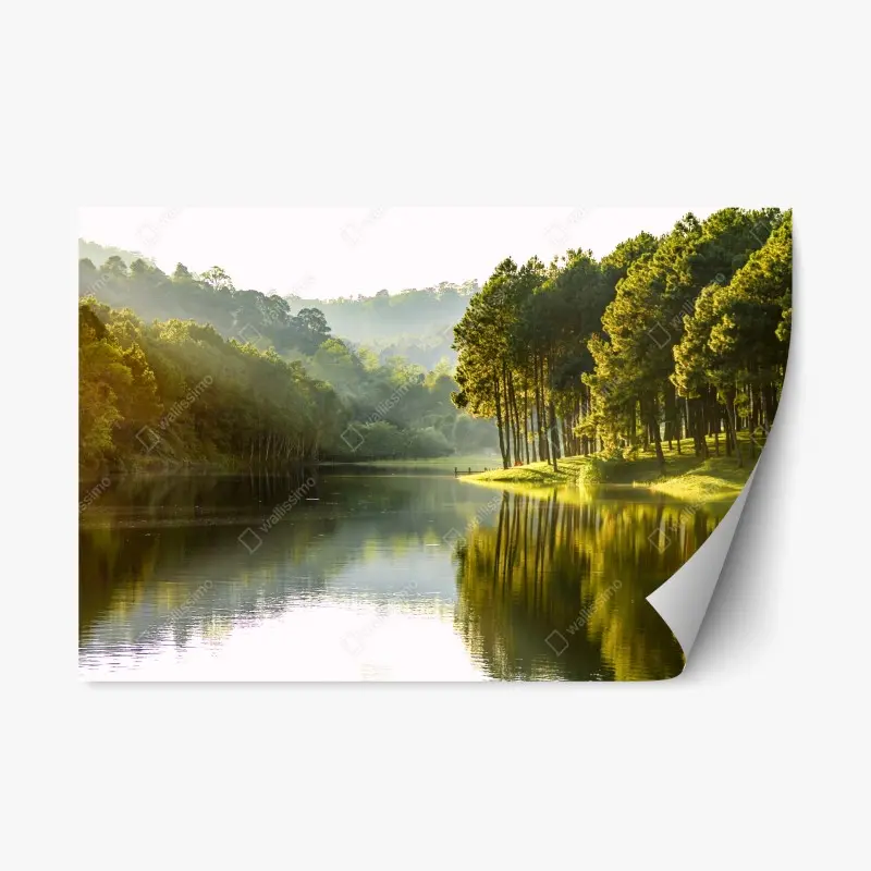 Repositionable sticker serene pine forest by a tranquil lake