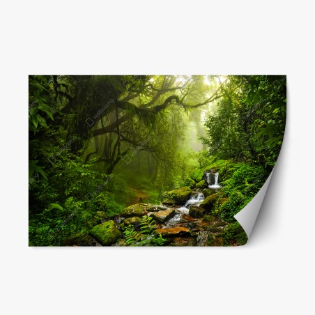 Repositionable sticker lush misty forest waterfall • Wallissimo®