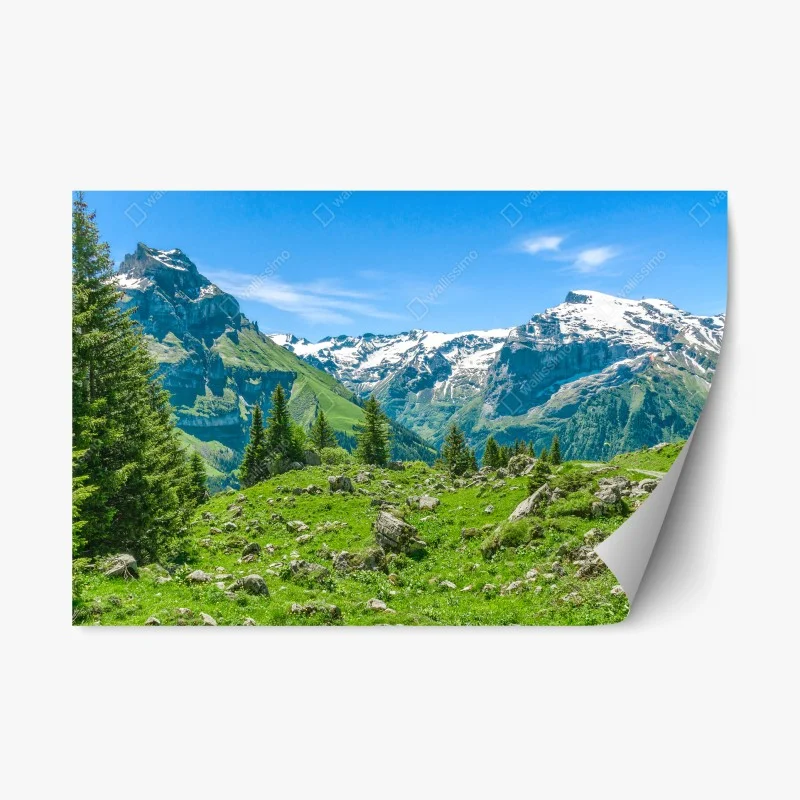 Repositionable sticker sunlit alpine meadow in Engelberg