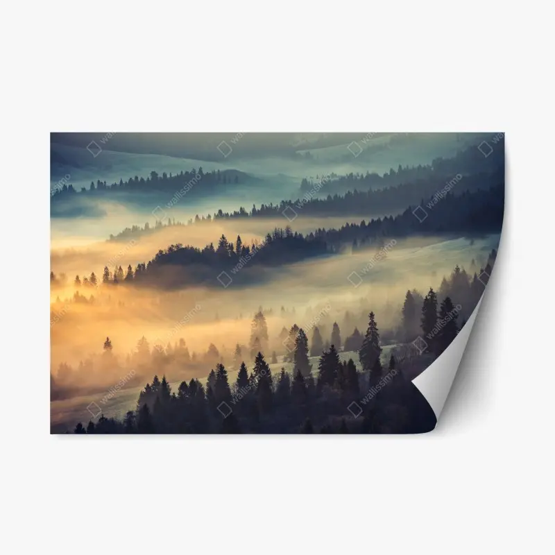 Repositionable sticker regal lion on the savannah • Wallissimo®