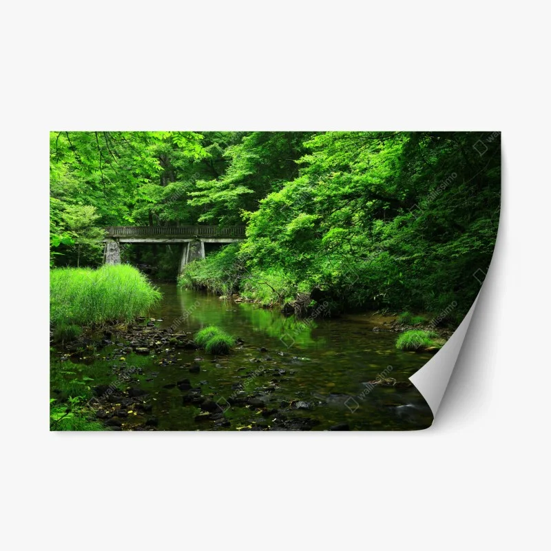 Repositionable sticker lush green forest stream with stone bridge