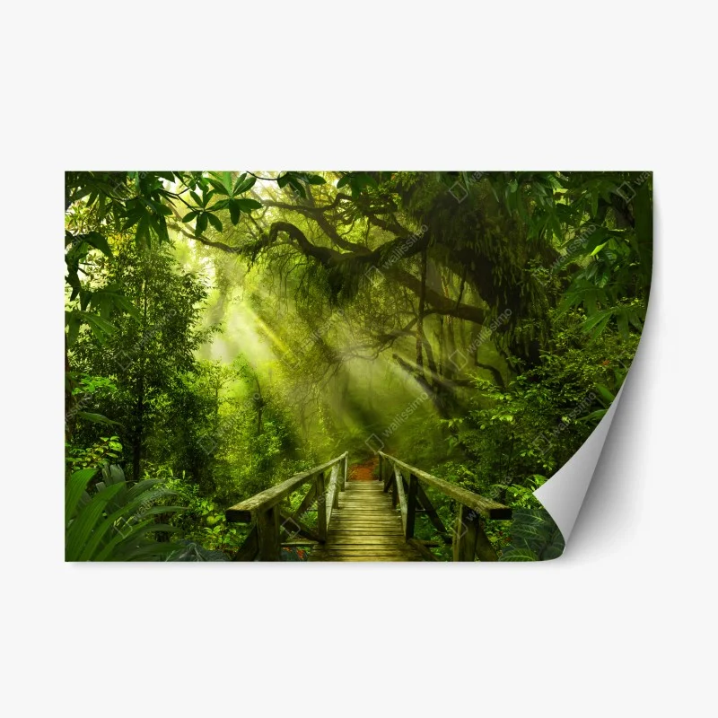 Repositionable sticker sunlit forest pathway