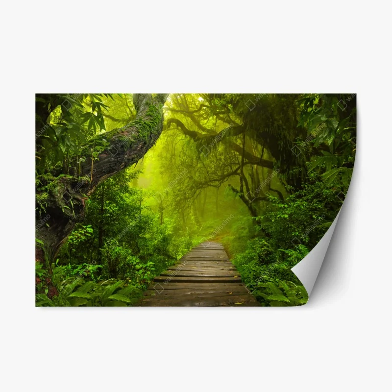 Repositionable sticker mystical green forest path