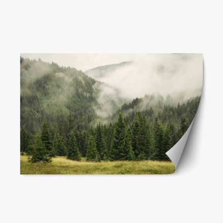 Repositionable sticker misty evergreen forest landscape • Wallissimo®