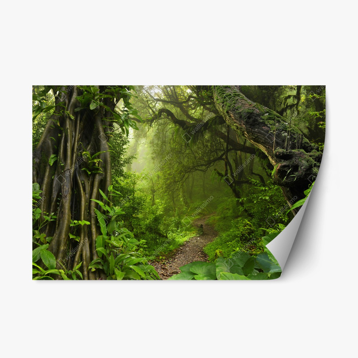 Repositionable sticker lush misty forest trail ⁕ Wallissimo® Repositionable sticker lush misty forest trail ⁕ Wallissimo®