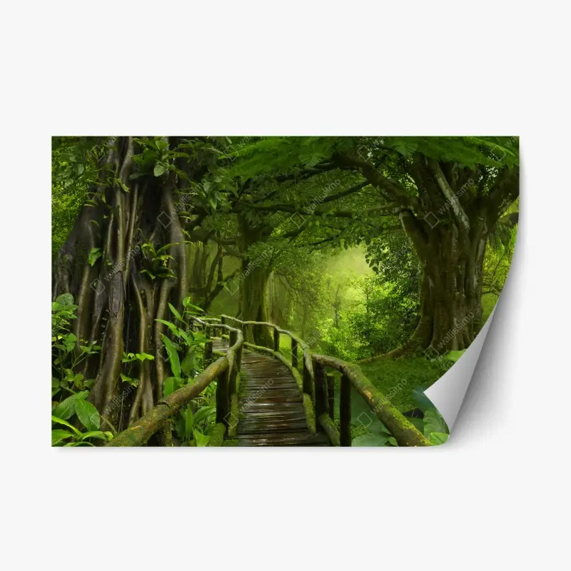 Repositionable sticker misty tropical jungle boardwalk