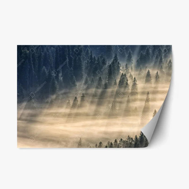 Repositionable sticker golden autumn forest path • Wallissimo®