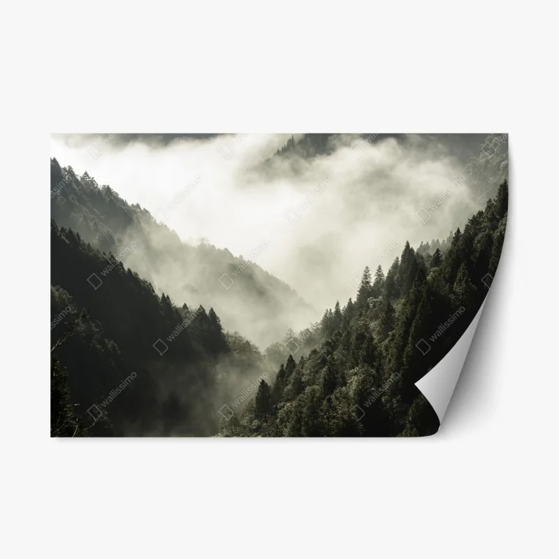 Repositionable sticker misty mountain valley