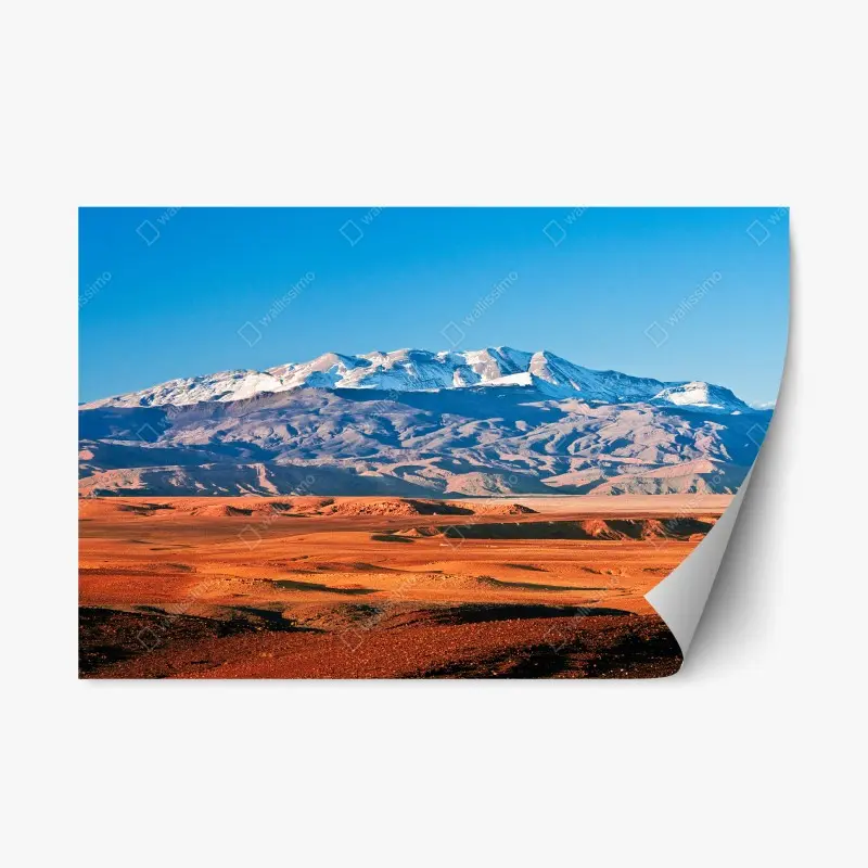 Repositionable sticker sunlit desert with snow-capped mountains