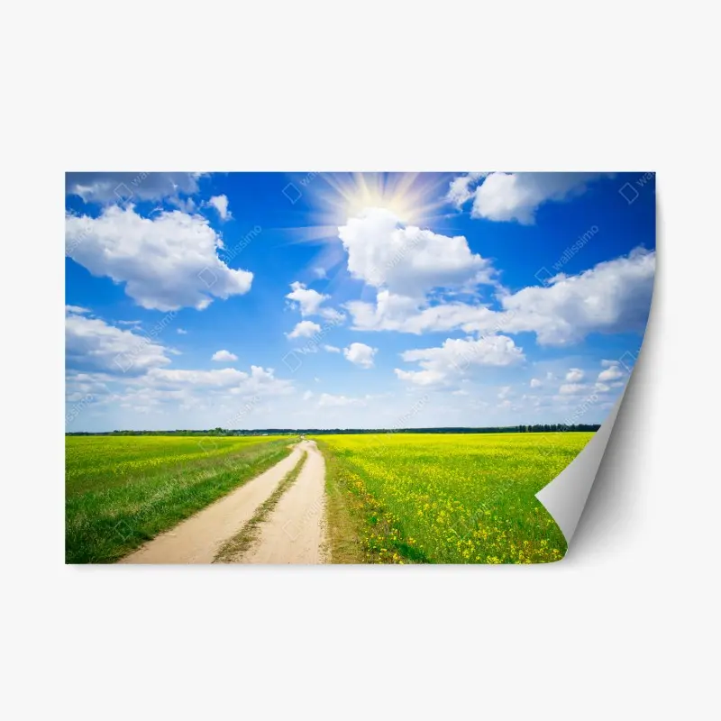 Repositionable sticker • Wallissimo®