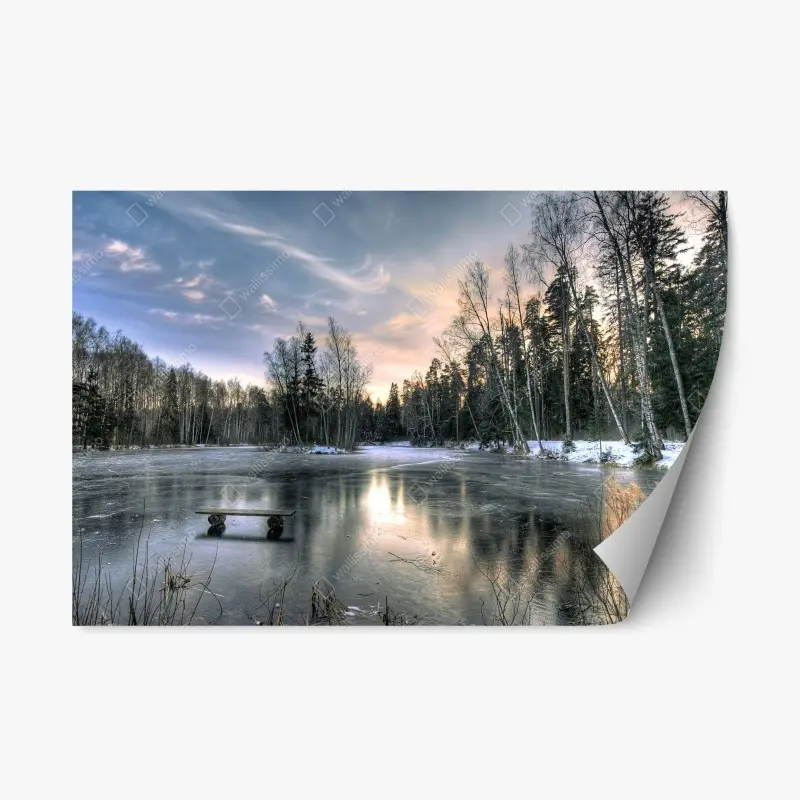 Repositionable sticker • Wallissimo®