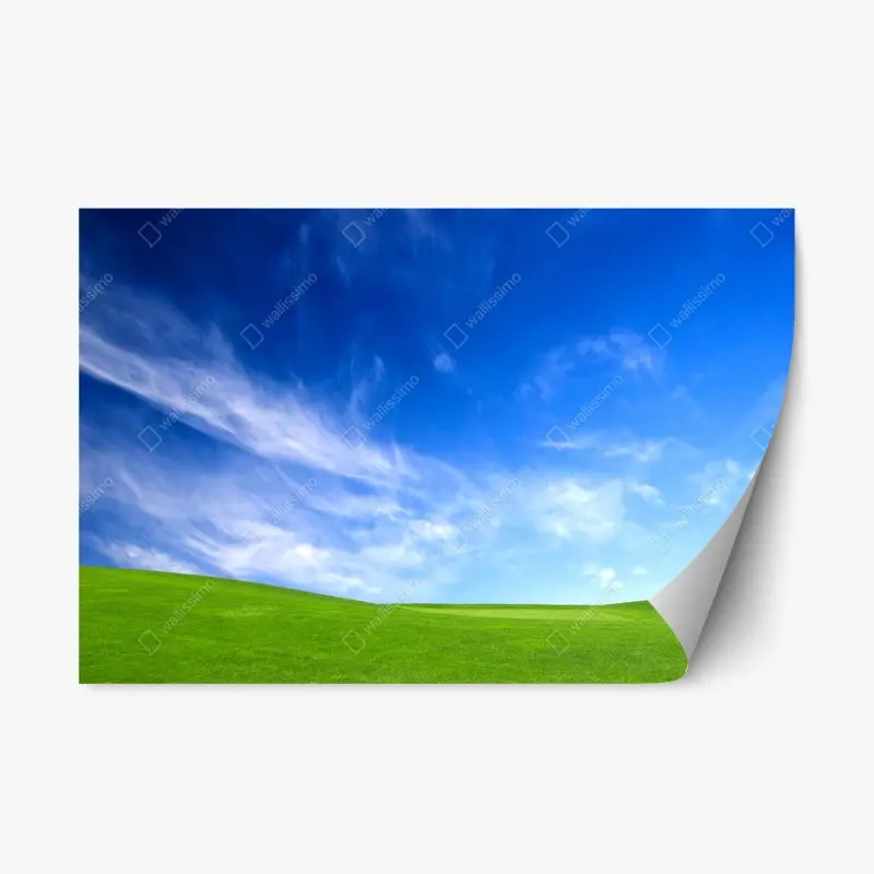 Repositionable sticker Tuscan rolling hills at sunset • Wallissimo®