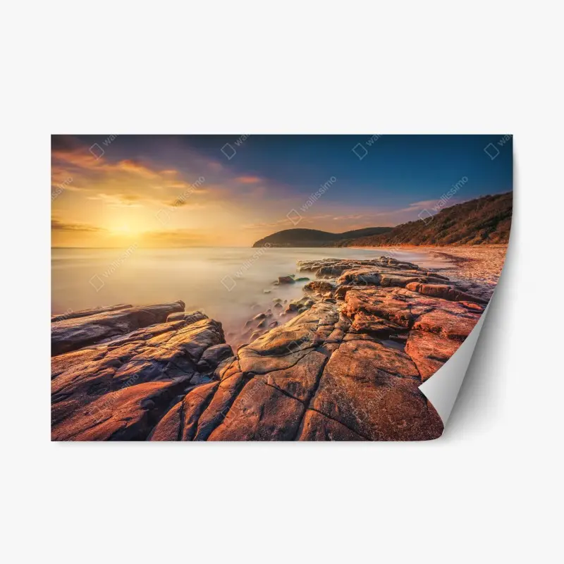 Repositionable sticker • Wallissimo®