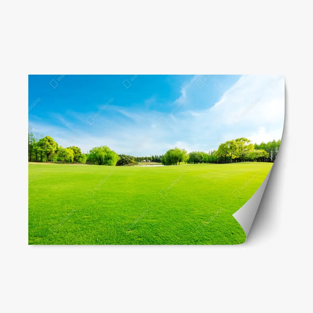 Repositionable sticker serene green meadow under a blue sky • Wallissimo® Repositionable sticker serene green meadow under a blue sky • Wallissimo®