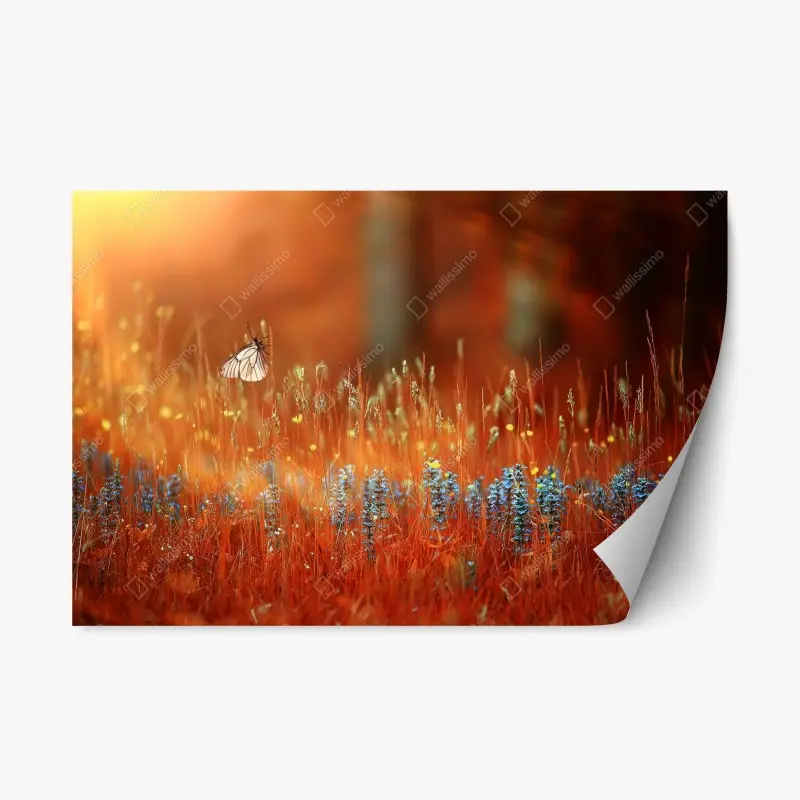 Repositionable sticker butterfly in a golden meadow