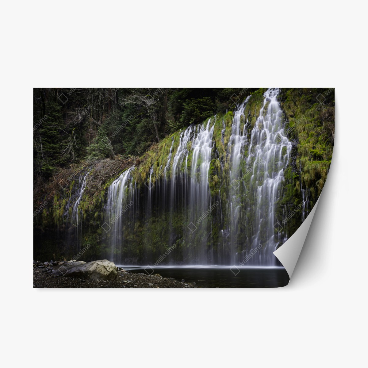 Repositionable sticker mossy waterfall in forest • Wallissimo® Repositionable sticker mossy waterfall in forest • Wallissimo®