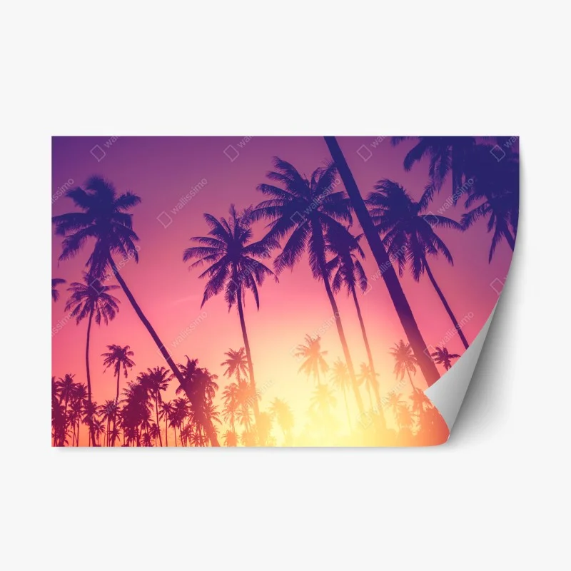 Repositionable sticker tropical palm sunset silhouette