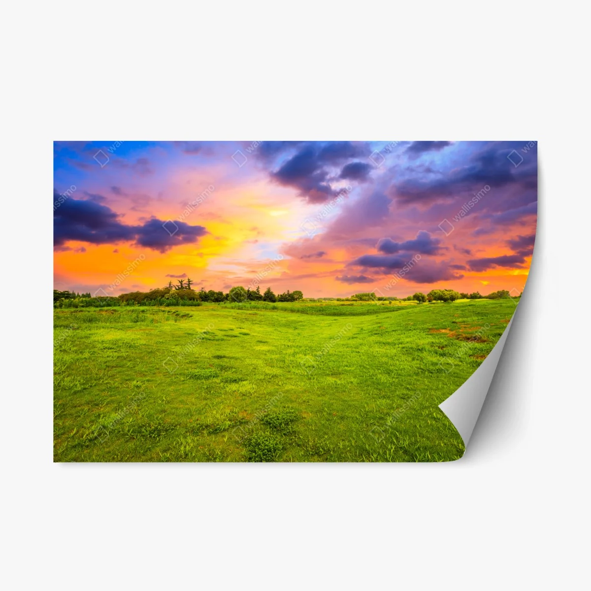 Repositionable sticker sunset over green meadow • Wallissimo® Repositionable sticker sunset over green meadow • Wallissimo®