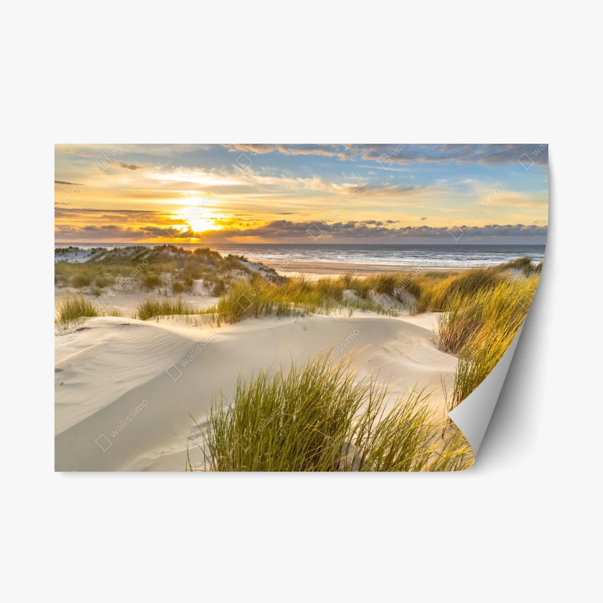 Repositionable sticker sunset over Ameland dunes • Wallissimo® Repositionable sticker sunset over Ameland dunes • Wallissimo®